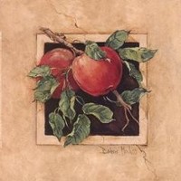 The Betsy Lydon Slow Food Ark Usa Award Goes To Michael Phillips, Organic Orchardist -- click for more on Lost Nation Orchard