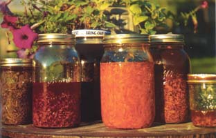 Solar-infused oils awash with the colors of healing flowers. Healing Preparations: herbal remedies and other products from Heartsong Farm Healing Herbs -- photo: Michael Phillips