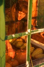 Nancy Phillips through the window with a harvest of pumpkins and squash