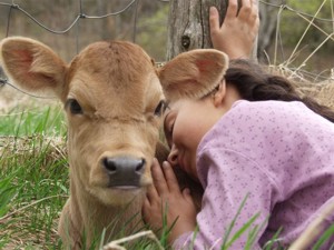 Gracie and Sassy settle in for a midday nap. (photo by Michael Phillips)