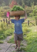Jenn brings in a basket of skullcap from the lower field while apprenticing at Heartsong Farm. (photo by Michael Phillips)