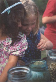 Children making tea at Nature and Spirit Camp - photo: Michael Phillips